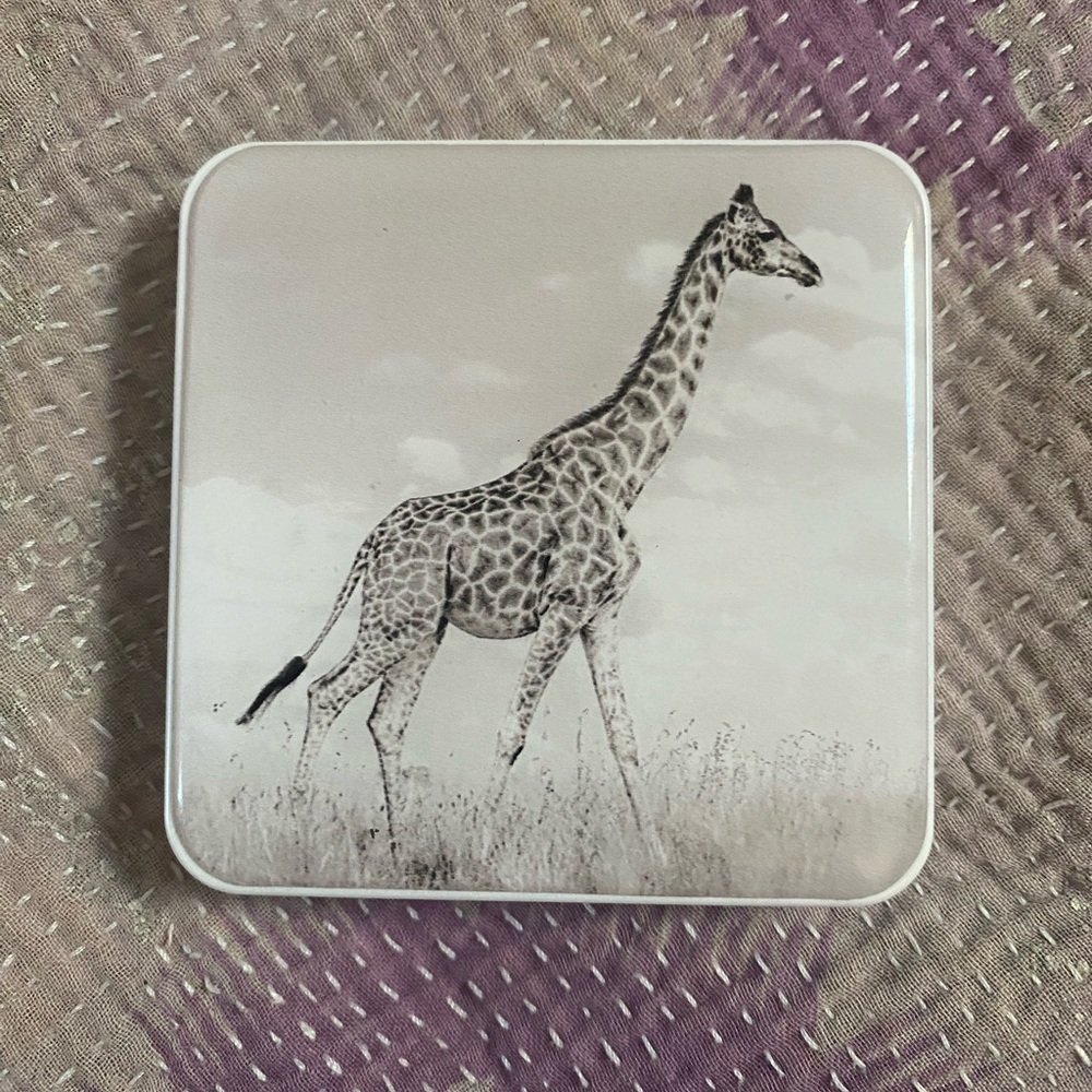 Chantecaille Giraffe eye quartet